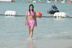 Payal Ghosh (Harika) in Bikini Swimwear Photoshoot on 30th May 2010 (135).JPG